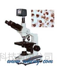数码型生物显微镜XSP6D价格 | 数码型生物显微镜XSP6D参数